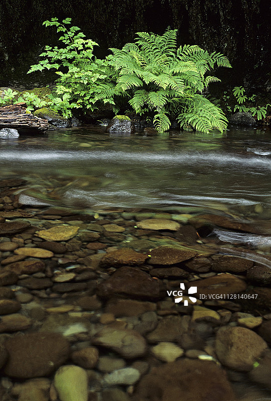 美国俄勒冈州哥伦比亚河峡谷鹰溪图片素材