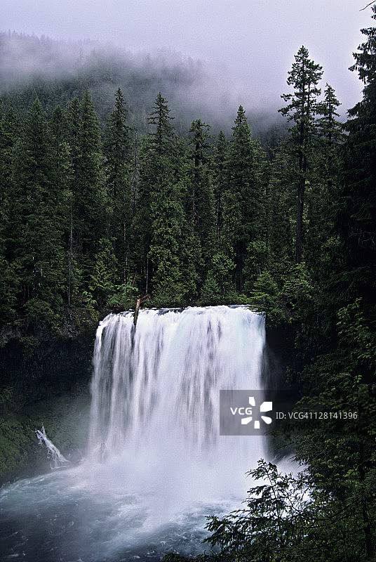 美国俄勒冈州喀斯喀特山脉，六月迷雾森林中的库萨瀑布和麦肯齐河图片素材