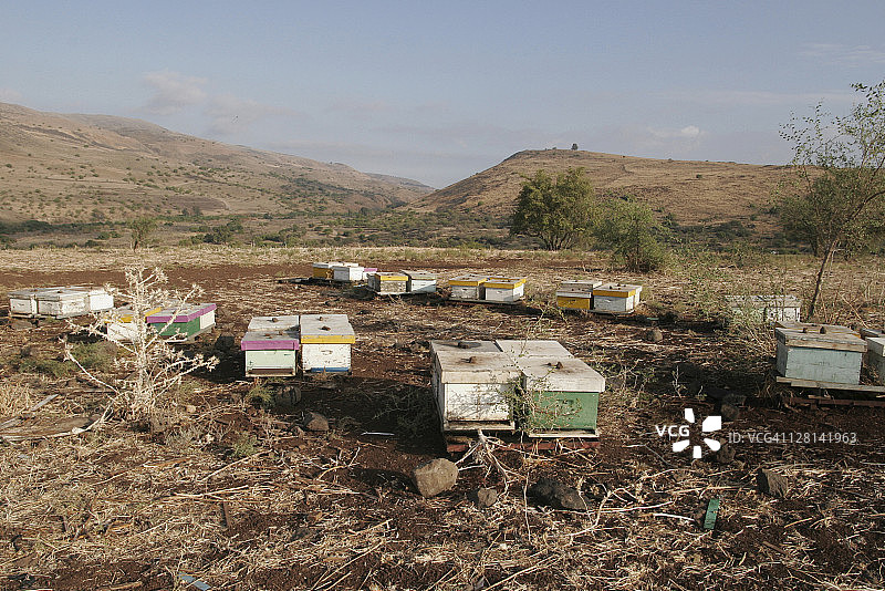 戈兰高地上的蜂箱，背景为玄武岩和深色土壤，以色列图片素材