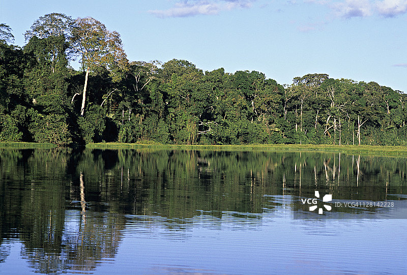 秘鲁亚马逊河上游的热带雨林和牛轭湖图片素材