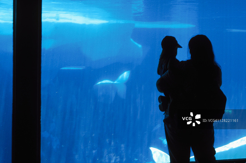 圣地亚哥海洋世界，加利福尼亚州图片素材