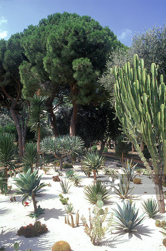 以色列海法巴哈伊圣殿花园图片素材