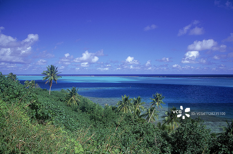 南太平洋、绿色树木和华欣岛的航拍景色图片素材