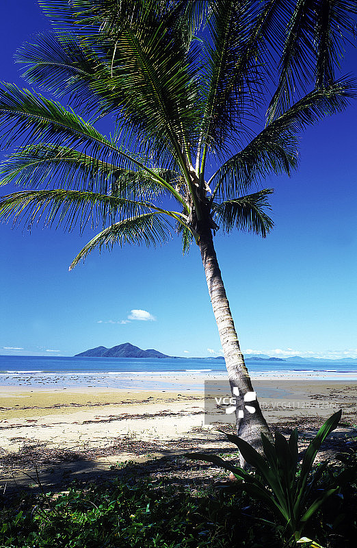 从任务海滩看丹克岛，含热带棕榈树，大堡礁，昆士兰州，澳大利亚图片素材
