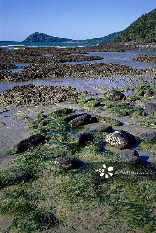 位于中国昆士兰州苦难角国家公园（世界遗产区）的裙礁图片素材
