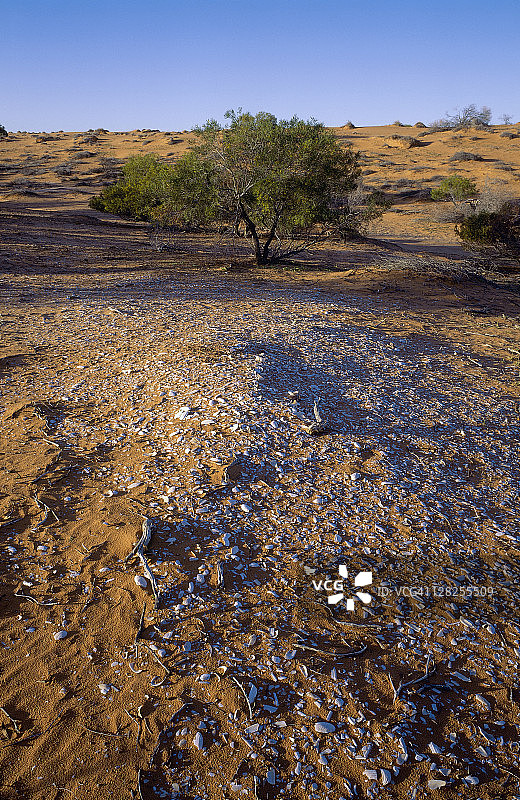 澳大利亚孔吉湖的垃圾堆图片素材