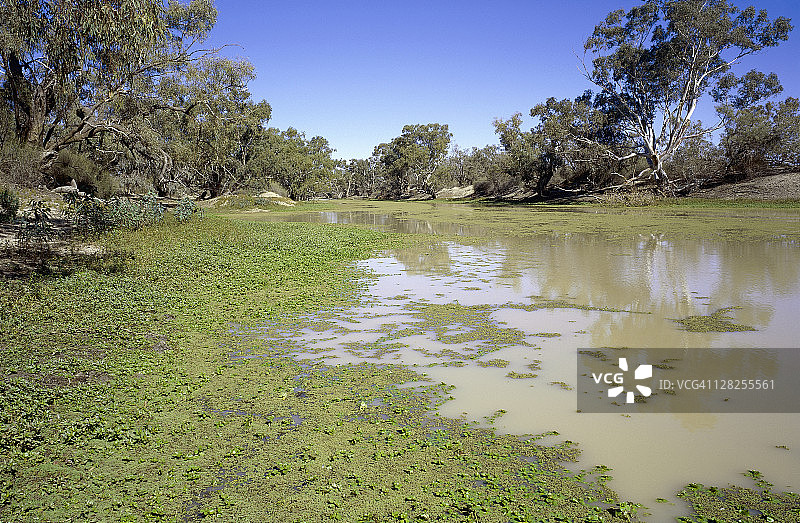 南澳大利亚州库尼湖附近的库珀溪图片素材