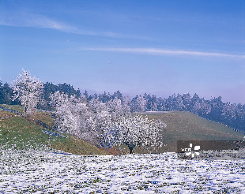 瑞士伯尔尼州埃门塔尔的冬季景色图片素材