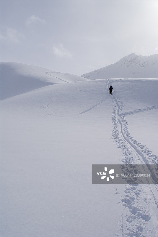 在加拿大不列颠哥伦比亚省阿苏尔坎冰川越野滑雪的孤独滑雪者图片素材