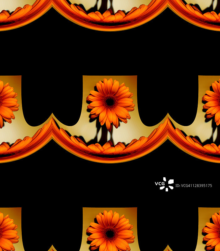 雏菊花环图片素材