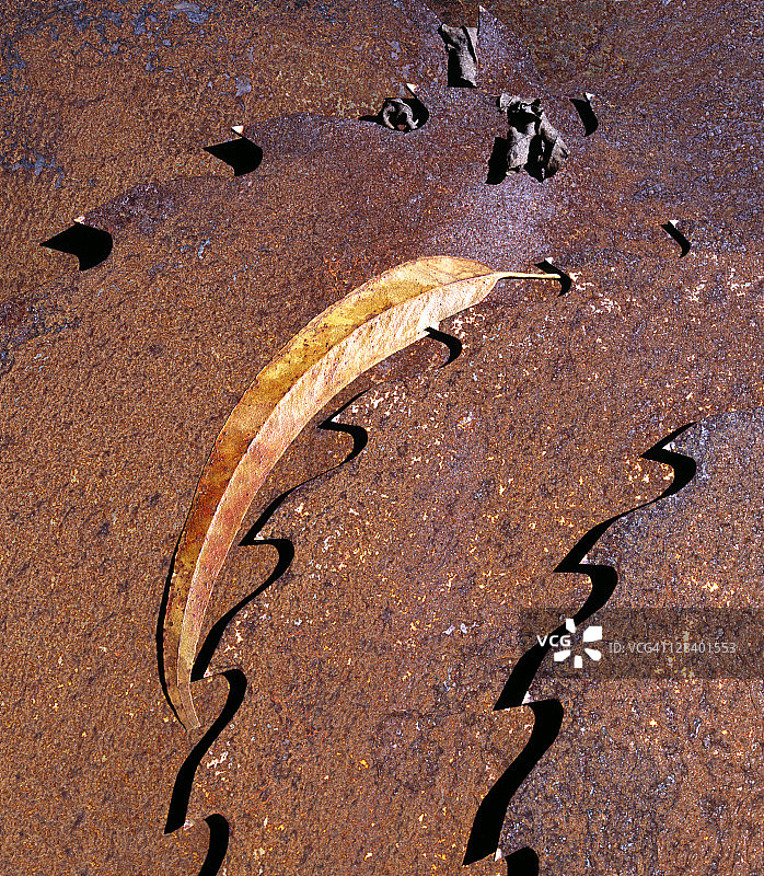 锈迹斑斑的锯片图片素材