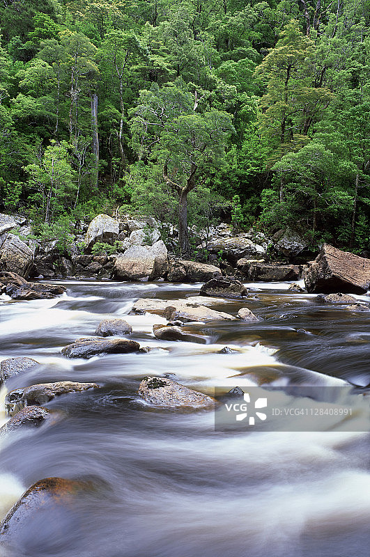 戈登河，荒野河流国家公园，塔斯马尼亚图片素材