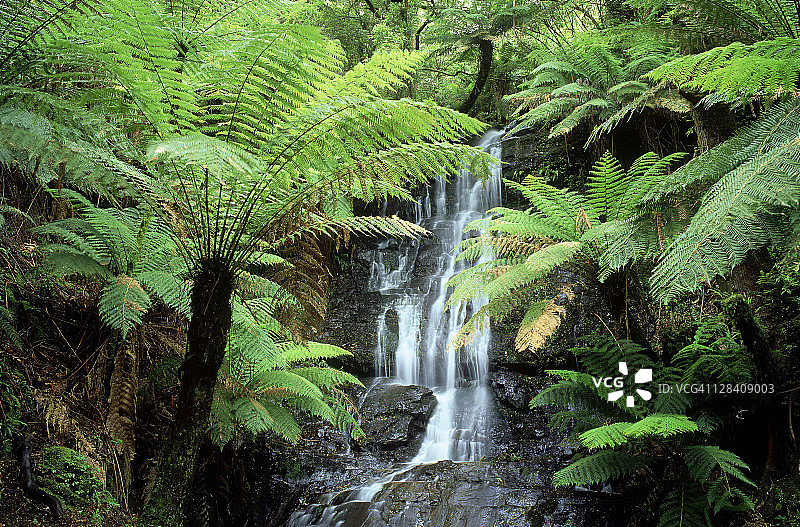 澳大利亚维多利亚州塔拉布尔加国家公园的瀑布图片素材