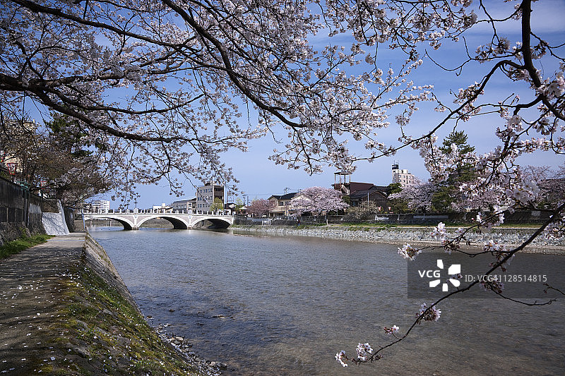 日本石川县金泽市浅野川与浅野川大桥图片素材