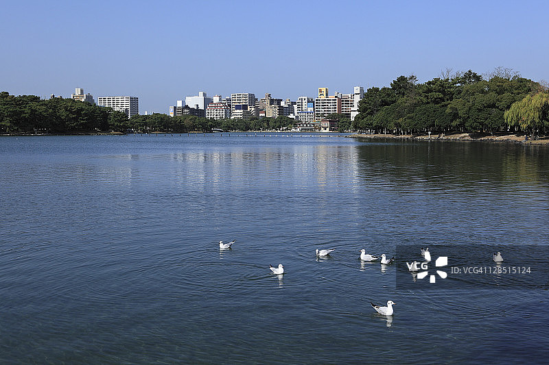 日本福冈大濠公园图片素材