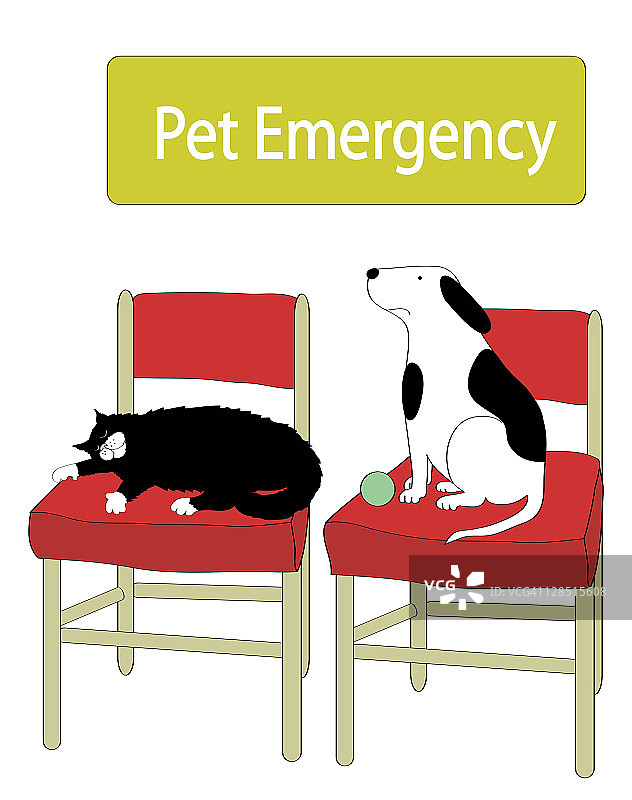 猫和狗在兽医办公室等待图片素材