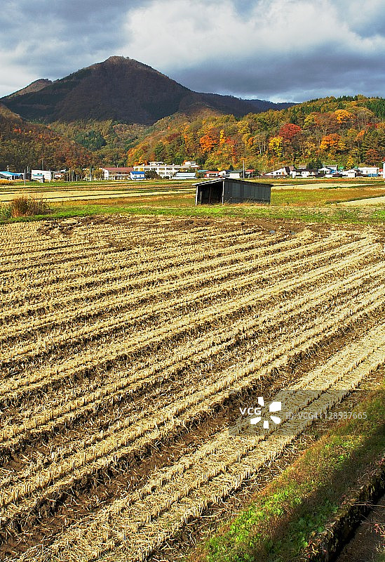 日本北部收割后的田地图片素材