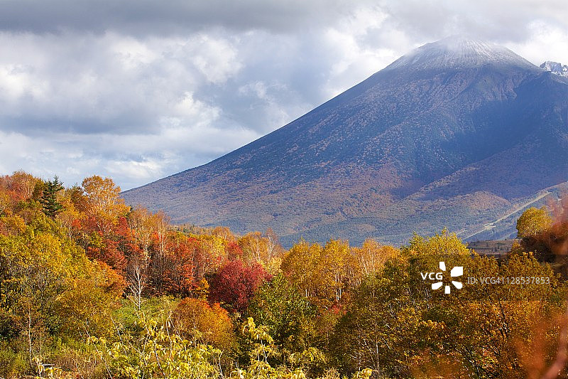 八幡平山的秋色图片素材