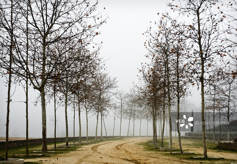 西班牙墓地的小路图片素材