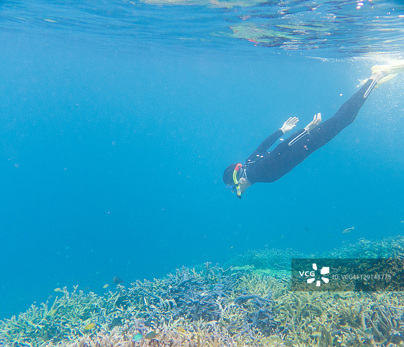 在日本冲绳岛的珊瑚礁浮潜图片素材