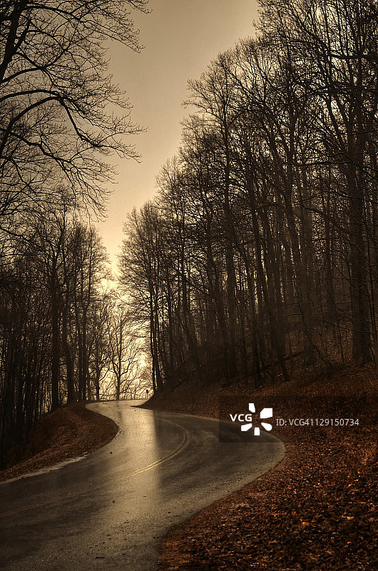 公园里的蜿蜒道路图片素材