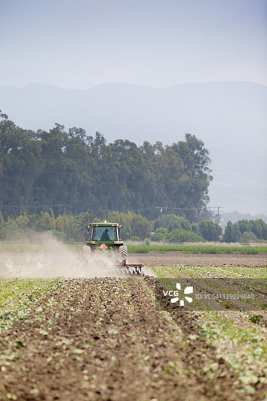 文图拉的农业耕作图片素材