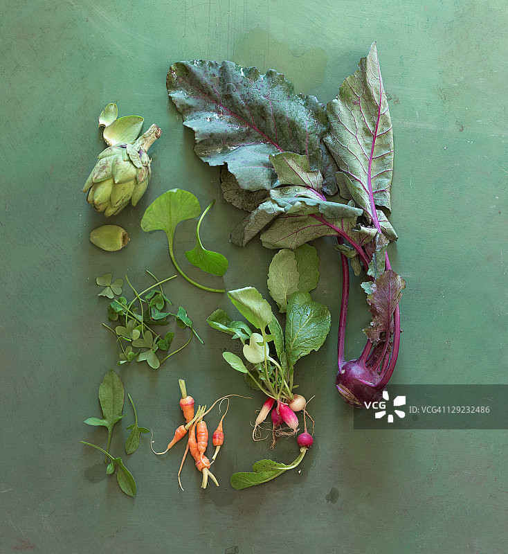 春季蔬菜静物图片素材