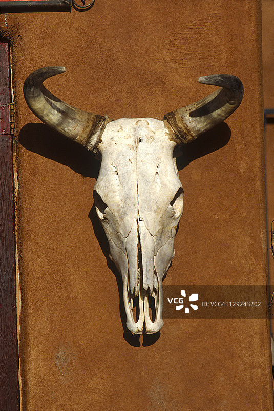 骷髅，圣菲，NM图片素材