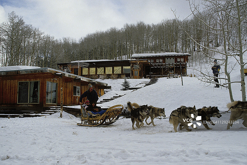 在科罗拉多州斯诺马斯的狗拉雪橇图片素材