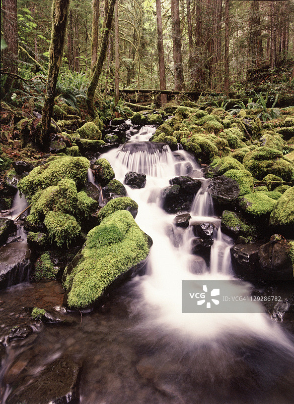 索尔达克瀑布附近的小溪，华盛顿州图片素材