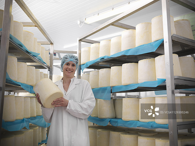 奶酪制作师在工厂与圆形奶酪图片素材