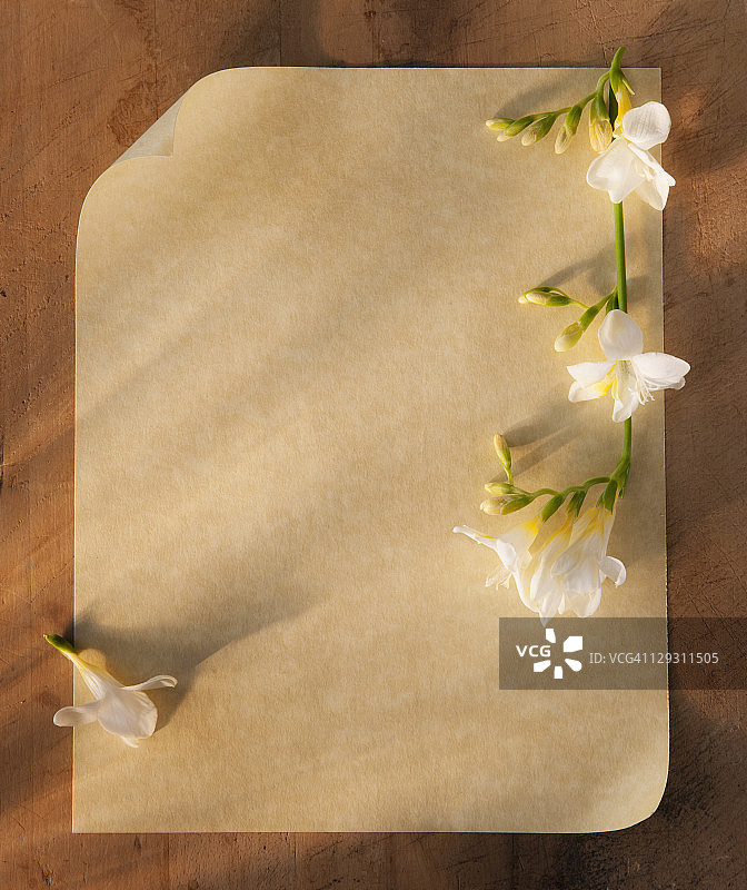 鲜花古老情书木板页特写图片素材