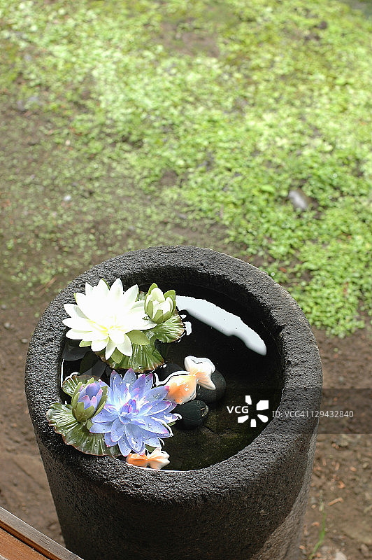 水中的花朵图片素材