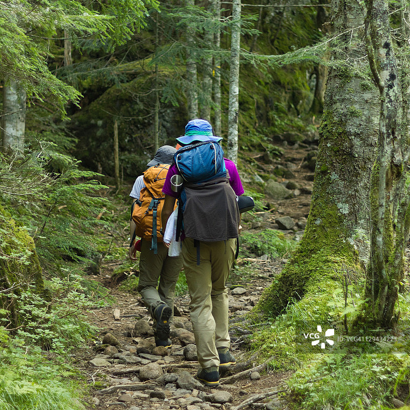 人们在茂密的苔藓森林中徒步旅行图片素材