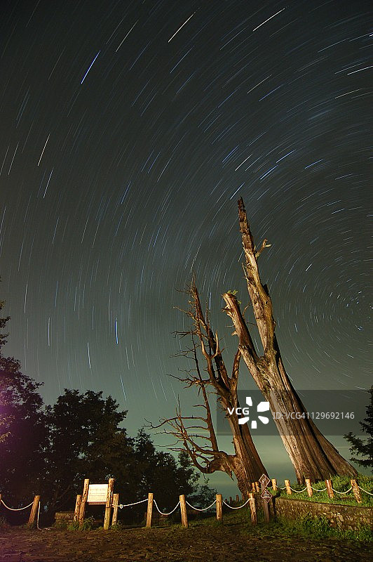 夫妻树旁的星轨图片素材