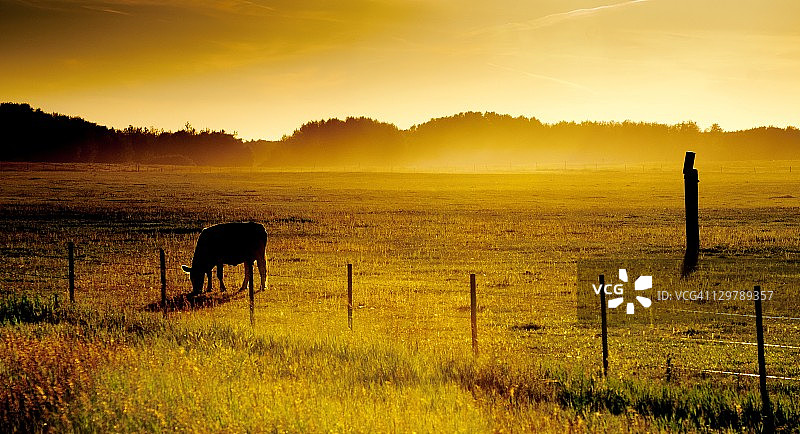 田园风光图片素材