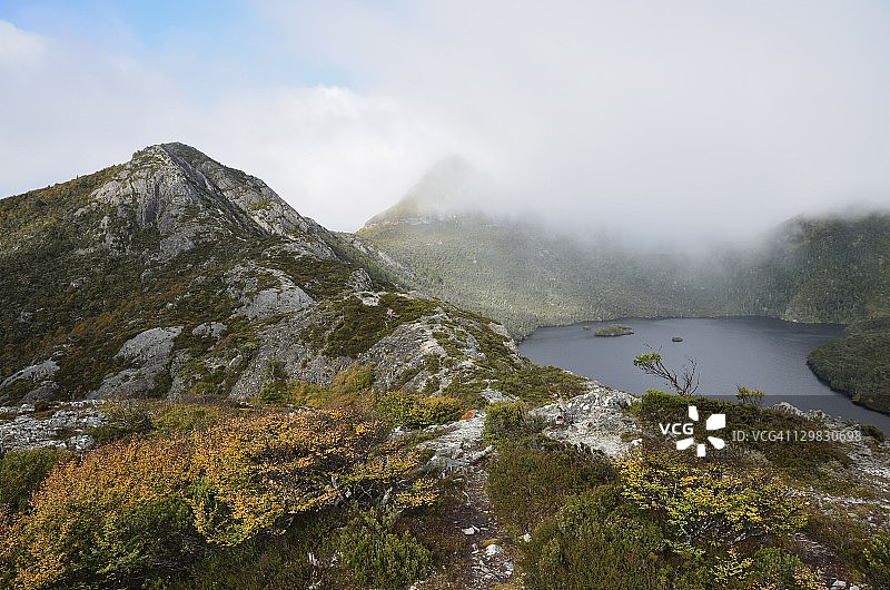 秋色中的落叶山毛榉，摇篮山-圣克莱尔湖国家公园，联合国教科文组织世界遗产，澳大利亚塔斯马尼亚图片素材