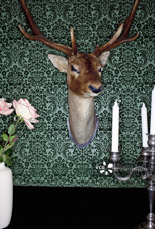 安装在餐厅墙上的鹿头图片素材