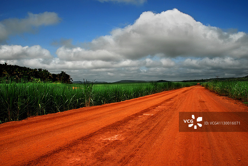 芦苇与天空下的道路图片素材