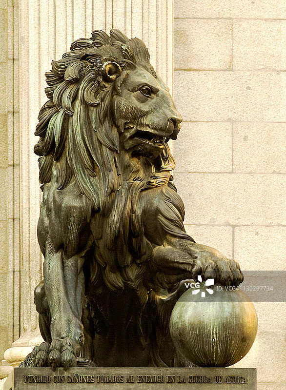 丛林之王（沥青路面）图片素材