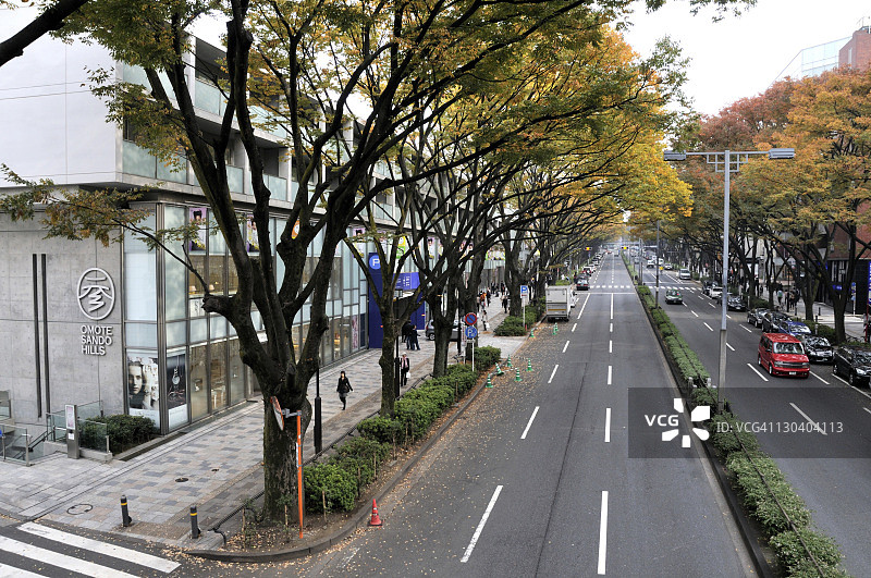 秋季的表参道大街图片素材