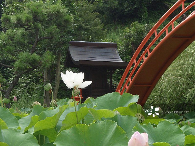 2010 08 13图片素材