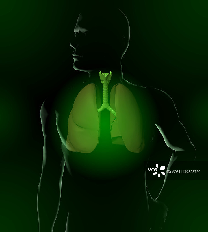 男人与上呼吸道插画图片素材