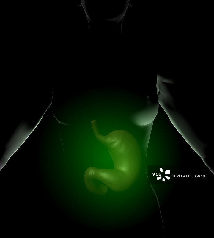 女人与胃部插图图片素材