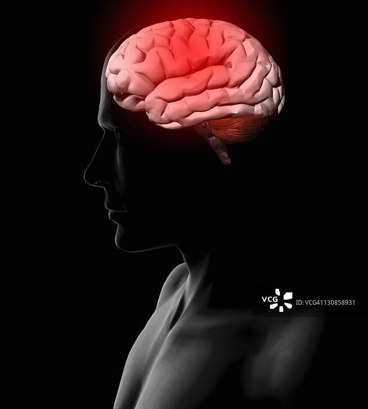 男人与大脑插画图片素材