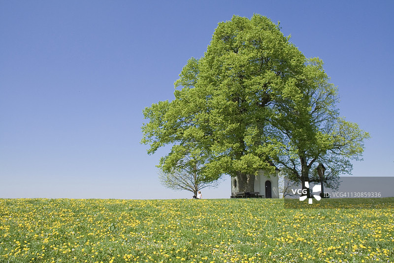 玛丽亚·丹克教堂，德国巴伐利亚图片素材