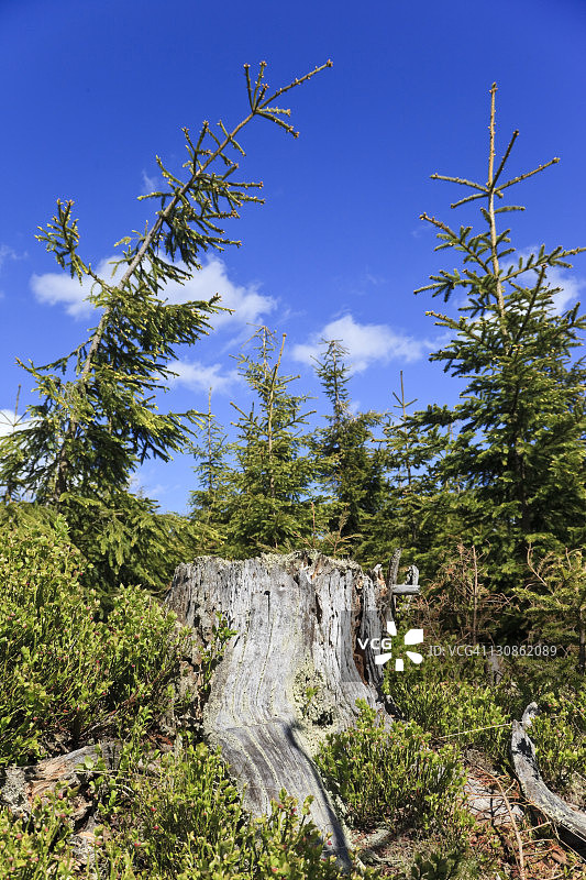 捷克巨人山什平德莱鲁夫姆林飓风遗迹图片素材
