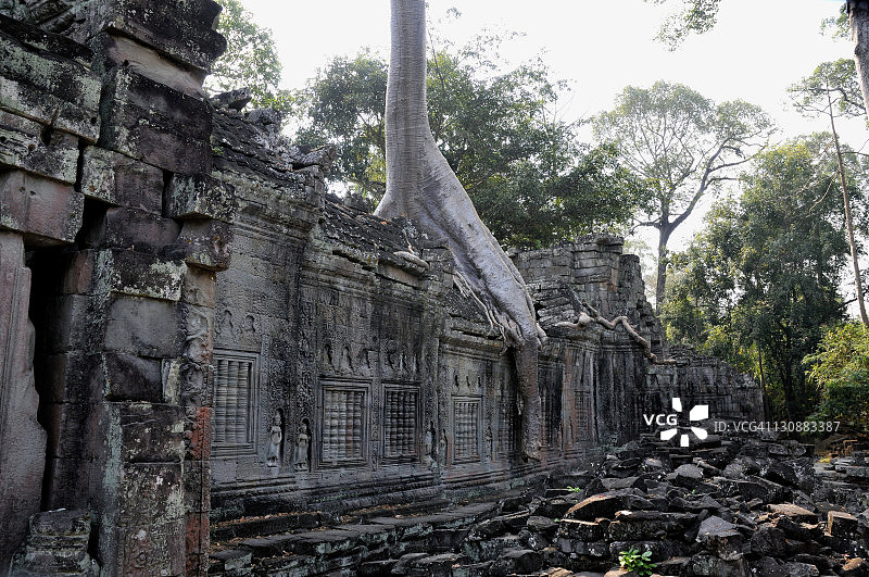 柬埔寨东南亚Preah Khan寺庙的丛林图片素材