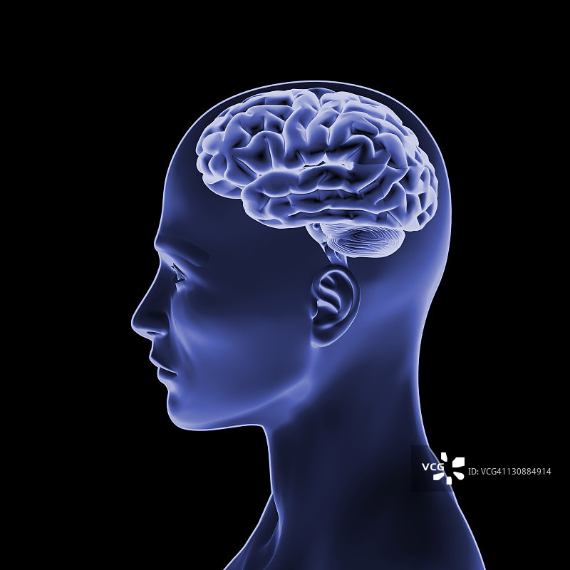 蓝色人脑头部侧视图3D插画图片素材
