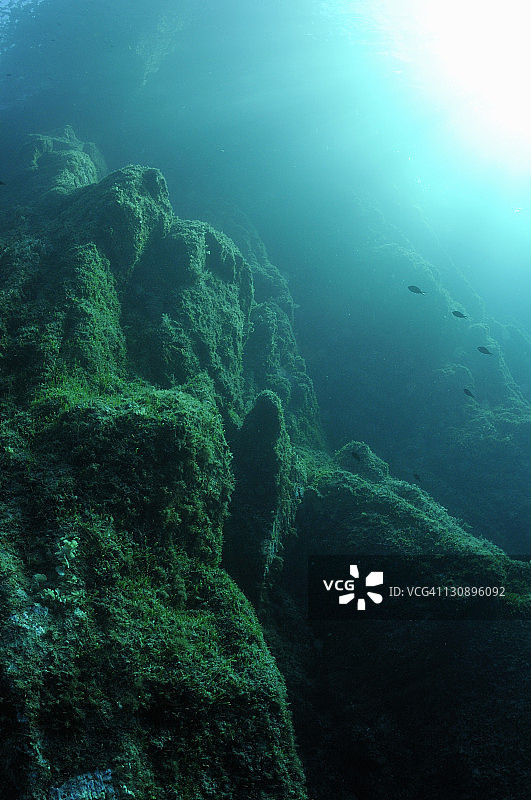 水下岩层景观图片素材